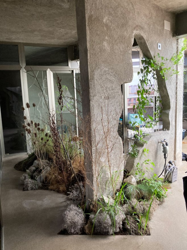 Flora Casa Olatz