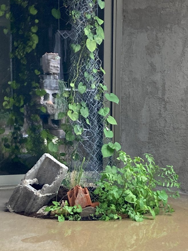 Flora Casa Olatz