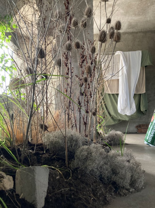 Flora Casa Olatz