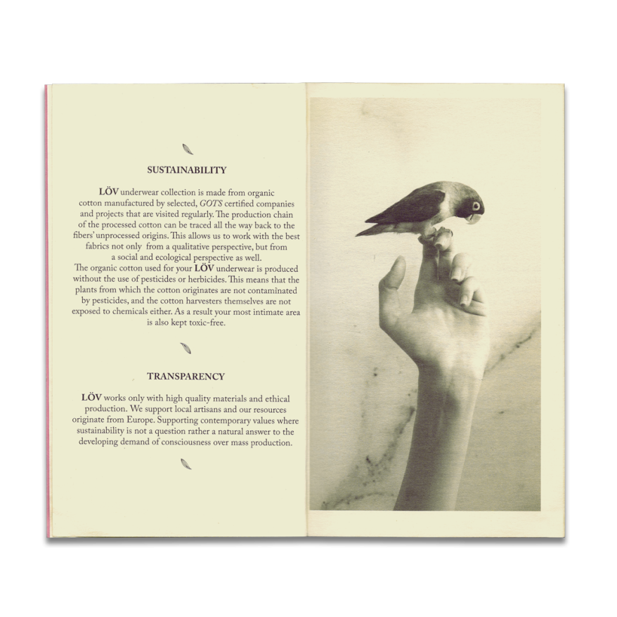 tropic of cancer