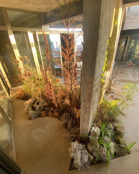 Flora Casa Olatz