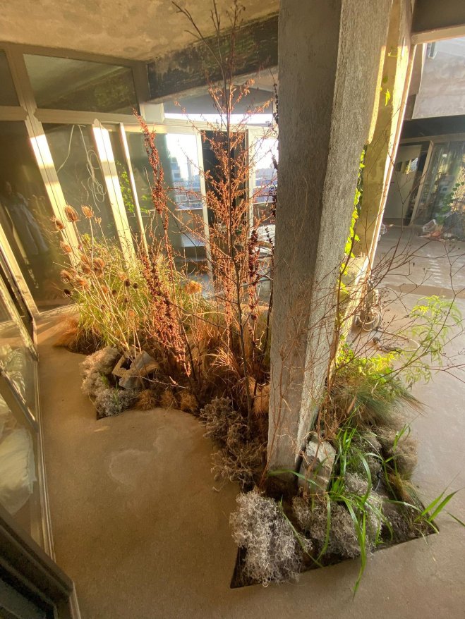 Flora Casa Olatz