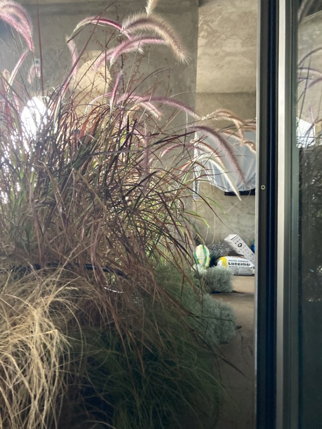 Flora Casa Olatz