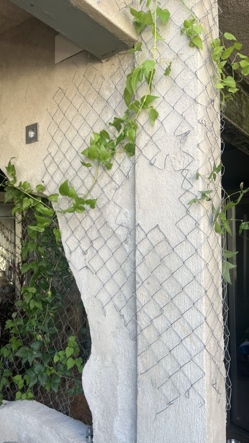 Flora Casa Olatz