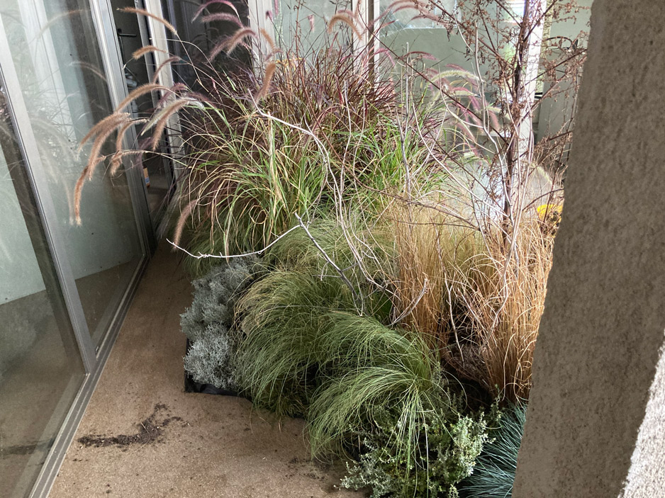 Flora Casa Olatz